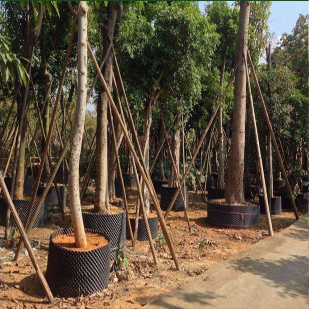 Bonsai Dikim Aleti Hızlı Fidan - Nursery incelemesi ve fiyatı