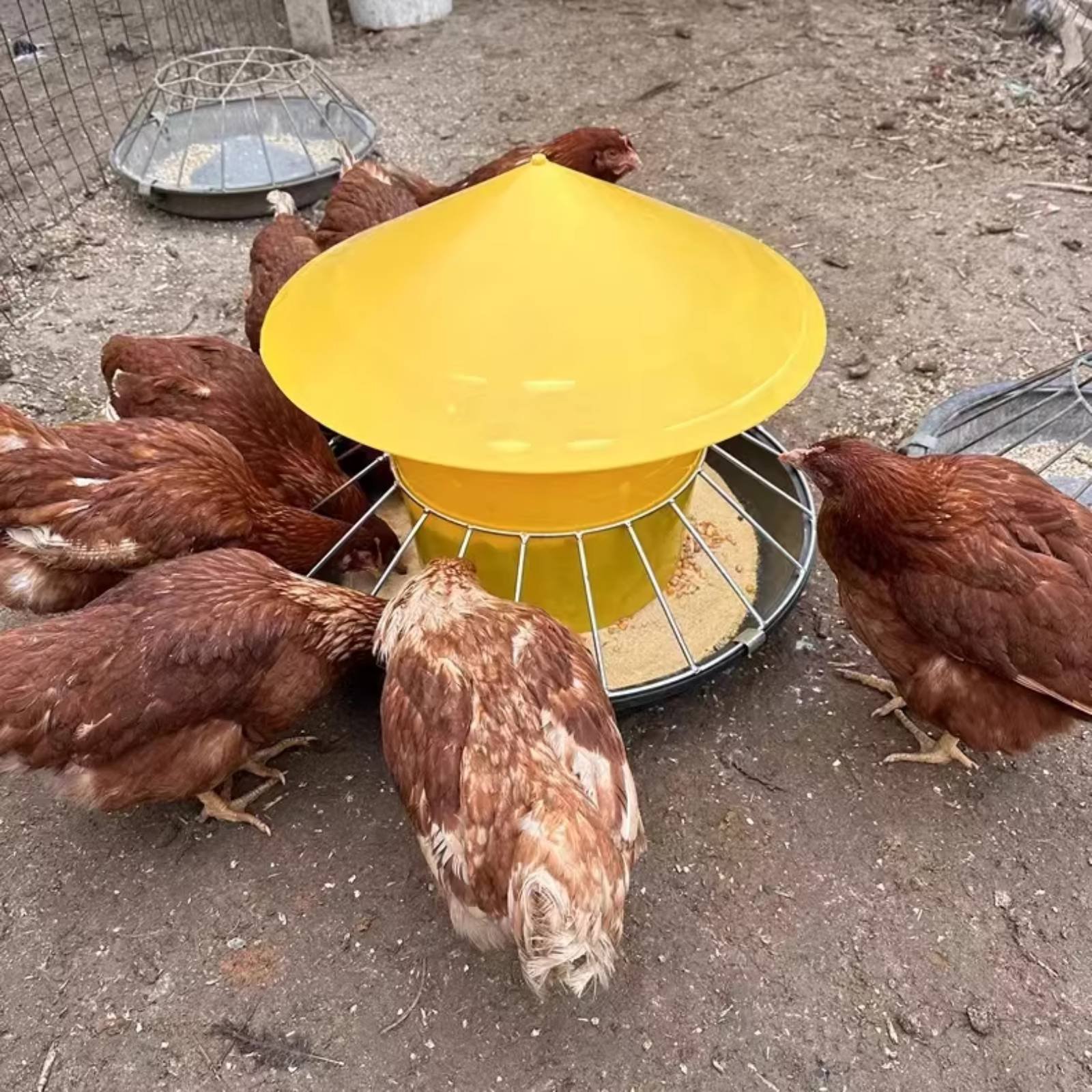 Yuvarlak Kümes Hayvanları Yeml - Feeding incelemesi ve fiyatı